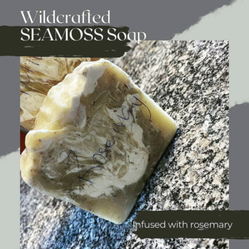 Seamoss Soap infused with Rosemary